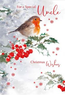 Christmas Card - Uncle - Winter Robin