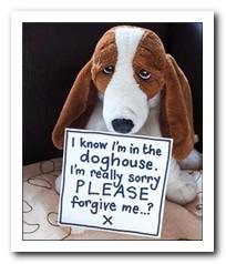 Sorry Card - I know I'm in the doghouse...