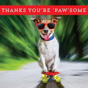 Thank You Card - Jack Russell On Skateboard
